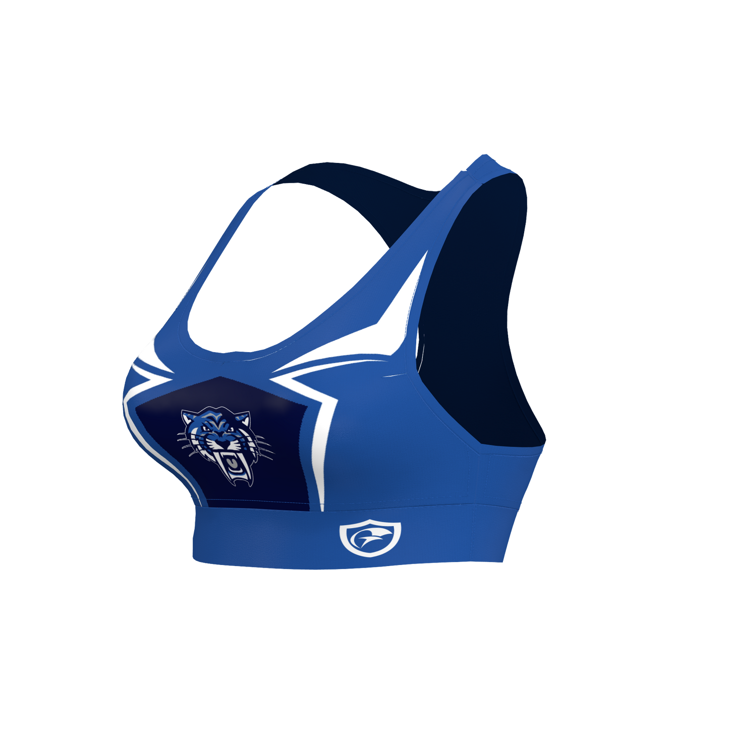 Anchor | BSC Sabers Collection