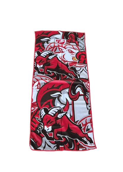 ICT-1R (Goulds Rams) | Goulds Rams Collection