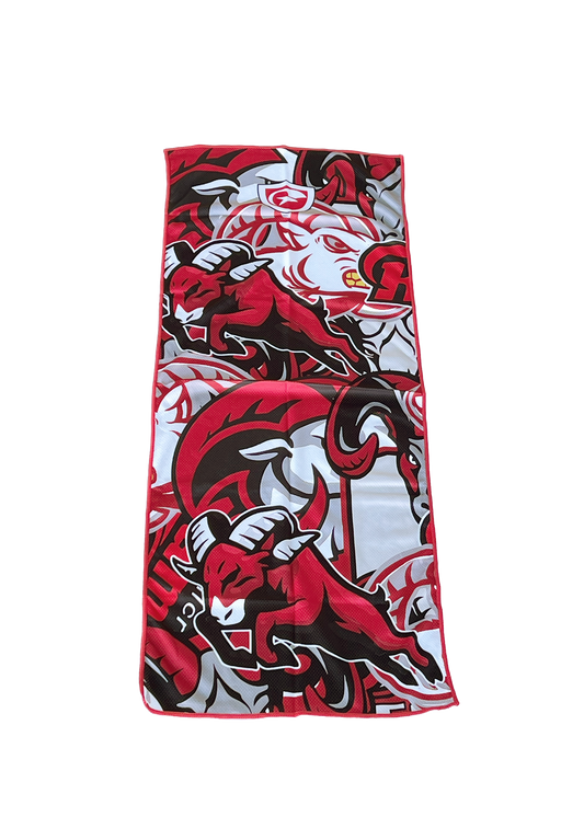 ICT-1R (Goulds Rams) | Goulds Rams Collection