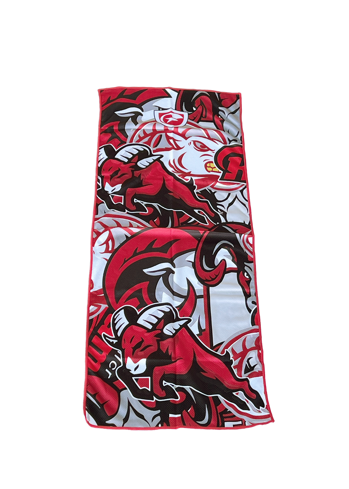 ICT-1R (Goulds Rams) | Goulds Rams Collection