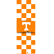 University of Tennessee Exercise Fitness Mat