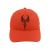 Red Phoenix Fergo Trucker cap